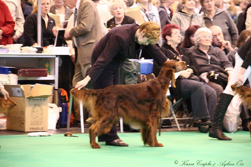 Crufts2011_2 043.jpg